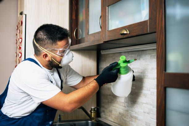 Best Termite Control Services  in Portage, PA