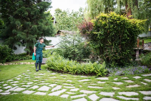 Best Best Pest Control Companies  in Portage, PA
