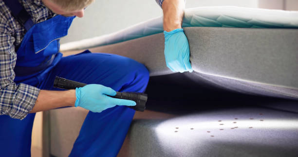 Best Affordable Pest Control Services  in Portage, PA