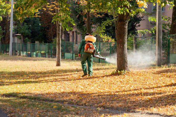 Reliable Portage, PA Pest Control Solutions