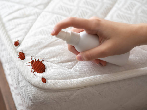 Best Local Pest Control Services  in Portage, PA